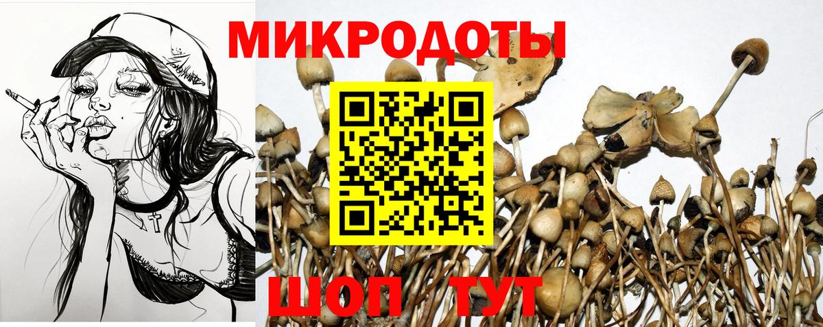 Галлюциногенные грибы ЛСД Котлас