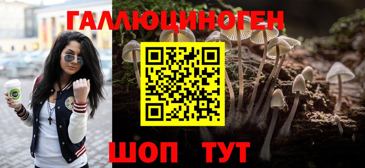 Галлюциногенные грибы мухоморы  Вход с VPN  Котлас 